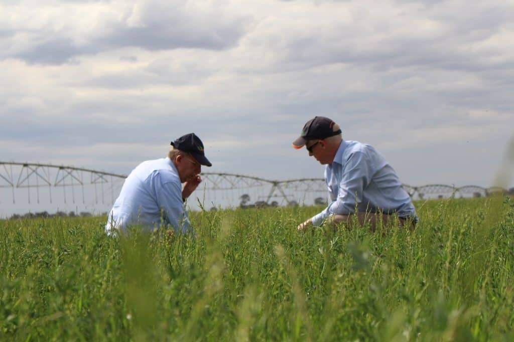 Feed centeal inspectors inspecting a crop