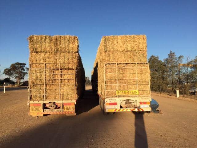 Feed Transport Australia