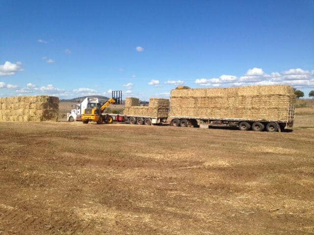 Feed Transport Australia