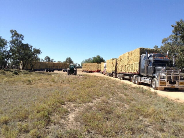 Feed Transport Australia