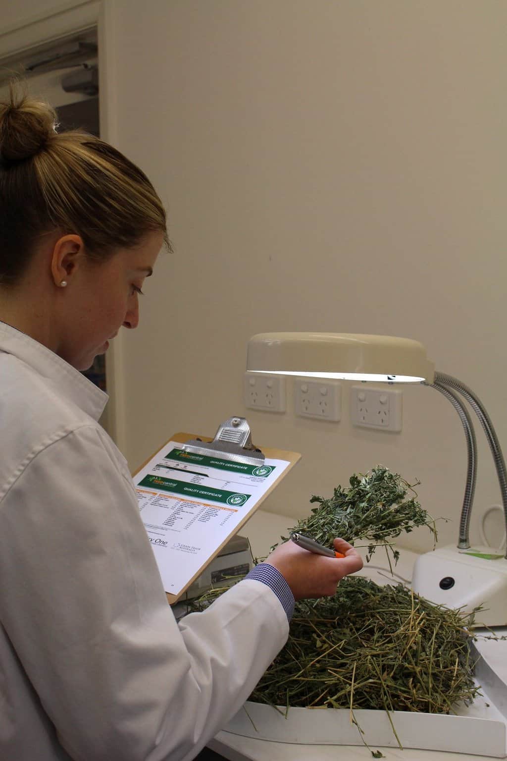 Feed Central inspectors looking at hay samples