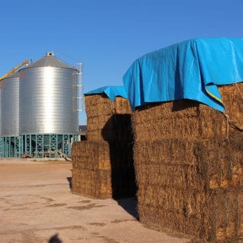 Hay under tarps