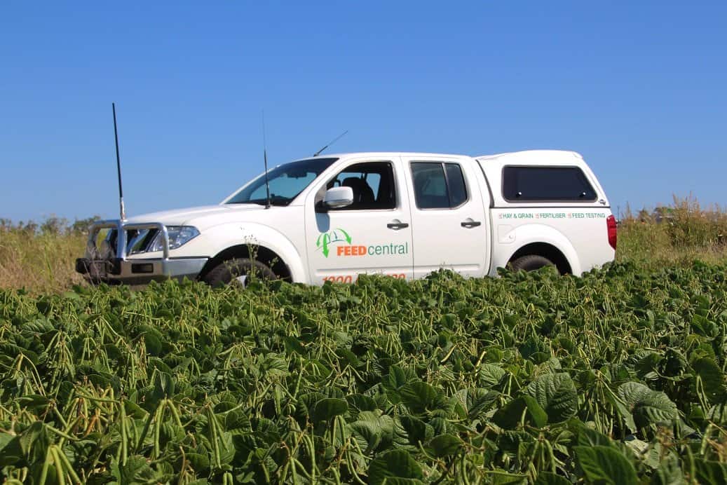 Feed Central vehicle in a Mund Bean crop