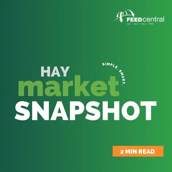 Hay market snapshot