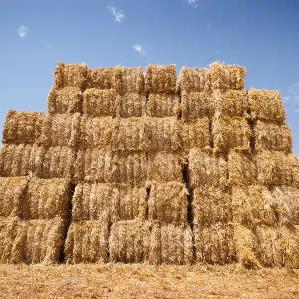 The Ultimate Guide - How To Stack Hay Bales