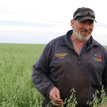 Person standing in a crop