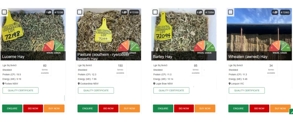 Visual Gauge being used on hay