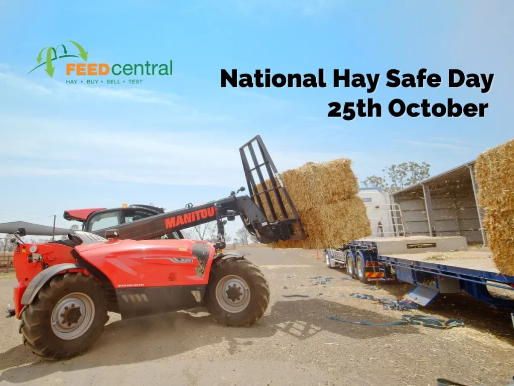 Loading hay on truck for Hay Safety Day 2022